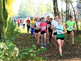 2019-11-24 Cross Diomedon